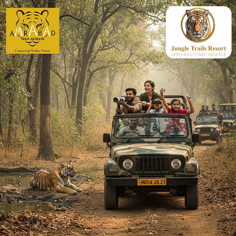 Jungle Trails Transit Mannanur